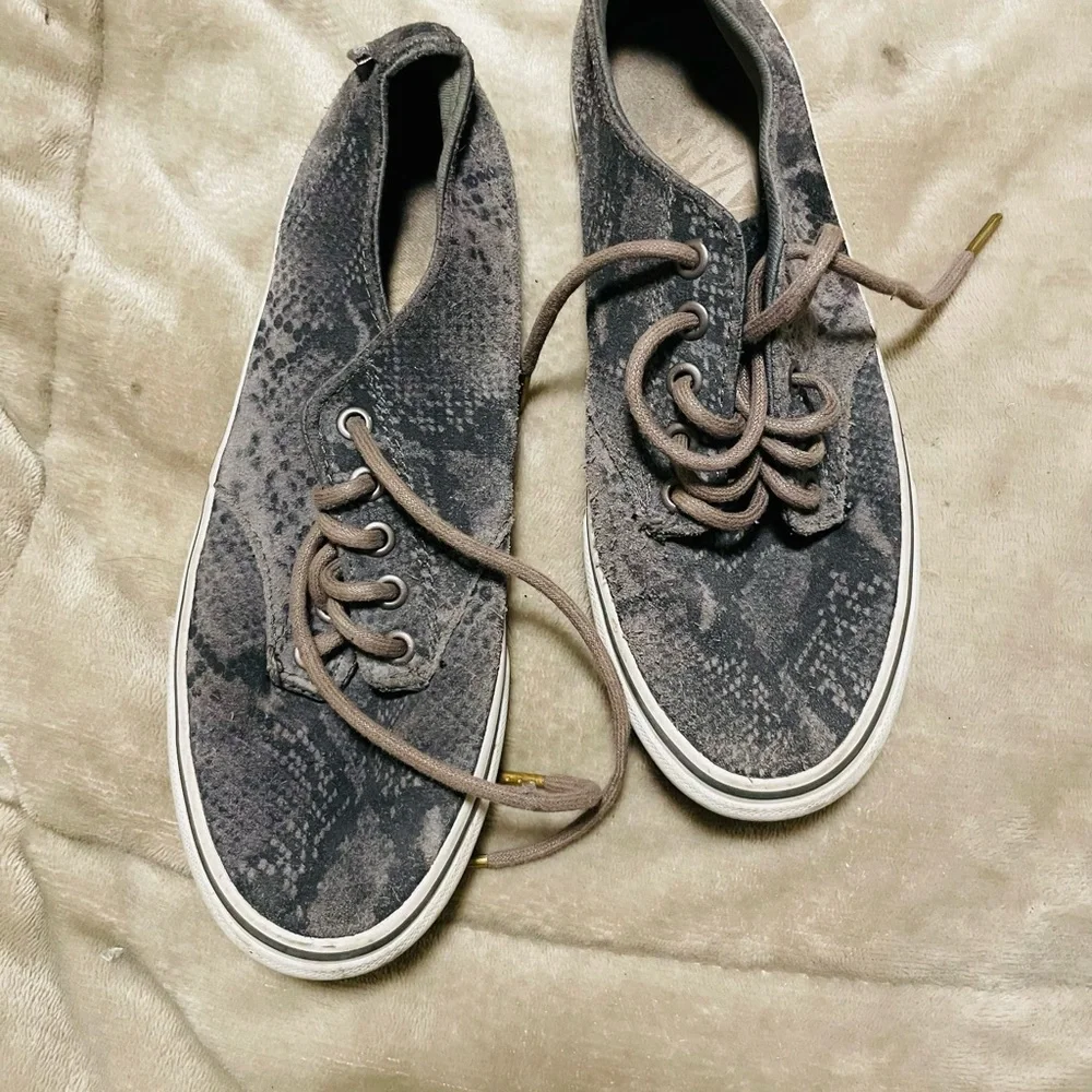 Vans - Picture 3 of 7